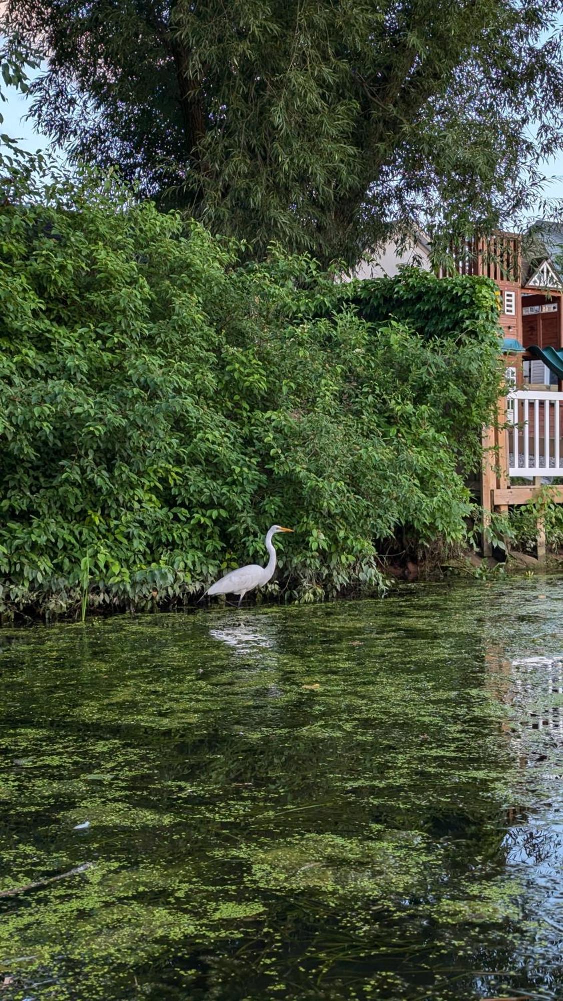 Niagara Creekside B&B - Waterfront Suite Bed & Breakfast